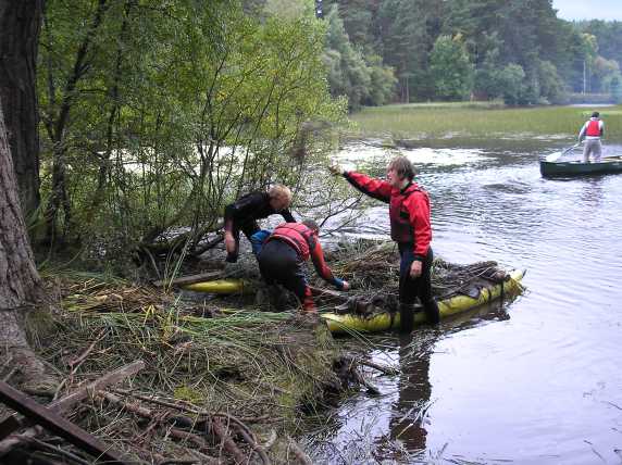 Photo showing a raft made of two canoes with a platform of timber and netting, loaded with reeds and being unloaded by hand at the edge of the lake.