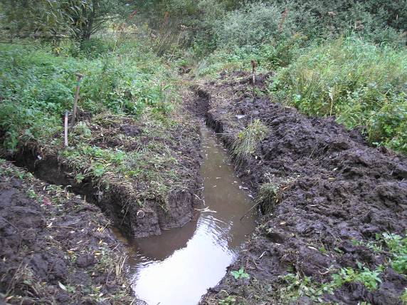 Photo of the two ditches joining.