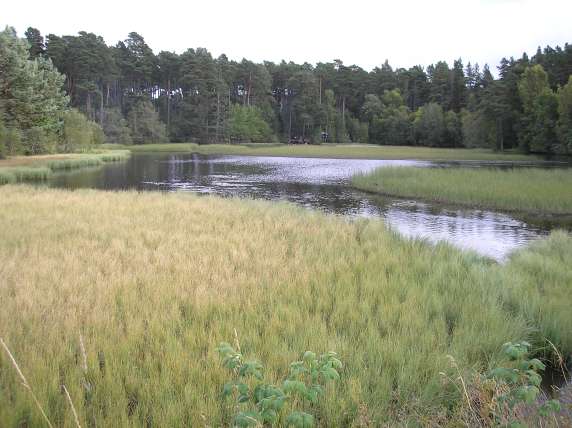 Photo of the lake