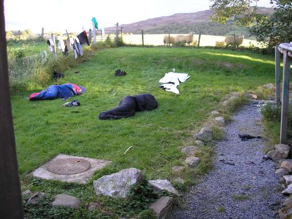 Photo of two people still asleep on the lawn.