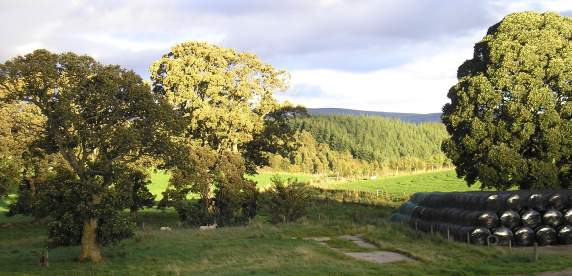 Photo of rolling green countryside