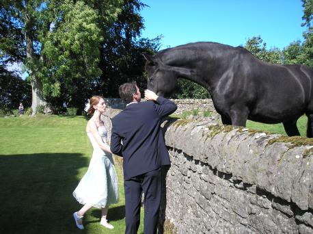 James petting a friendly horse